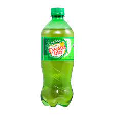 CANADA DRY 20OZ